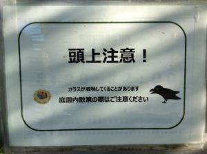 北海道札幌市でカラスの巣が近くにあり攻撃されることに注意を促す看板の写真